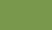 Зеленый киви U626 ST9-7 гр